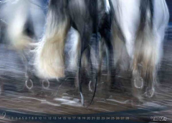 Vægkalender 2023 med smukke heste i bevægelse. En super gaveidé. Mål: 60 x 42 cm, lavformat.
