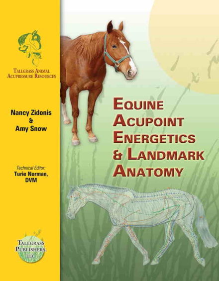 Akupressur og akupunktur til heste. Equine Acupoint Energetics and Landmark Anatomy Manual Akupressur og akupunktur til heste Bogen er opbygget som en manual
