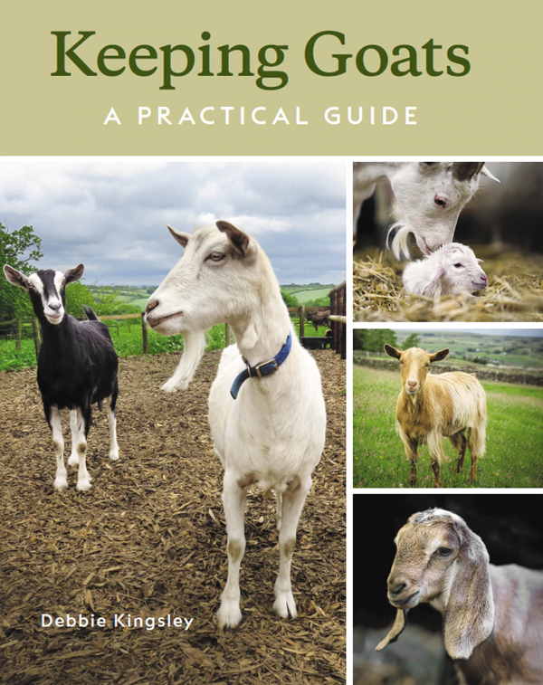 Geder. Guide til hold af geder