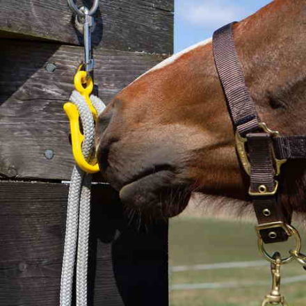 Idolo sikkerhedsopbinding gør opbinding af din hest mere sikker uden den river sig løs