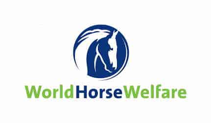 World Horse Welfare arbejder for hestevelfærd i 16 lande
