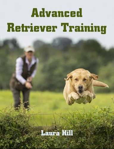 Advanced Retriever Training'
