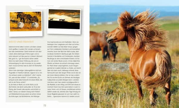 Magiske islandske heste (Magische Islandpferde) 9783275022205