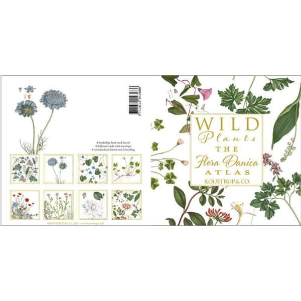 Kvadratiske brevkort med smukke motiver af vilde planter fra det botaniske atlas Flora Danica.