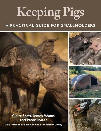 Hold af grise. Guide til det lille landbrug Keeping Pigs. A Practical Guide for Smallholders