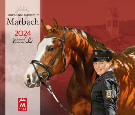 Marbach Statsstutteri 2024: Skønne fotos fra statsstutteriet i Marbach. Flot vægkalender du kan nyde i hele 2024.