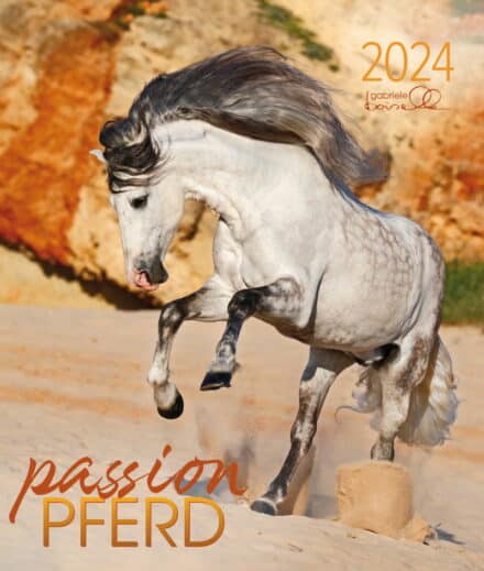 Vægkalender 2024 for dig med passion for heste og andre hesteelskere. Fotos med 13 smukke foto; en super gaveidé.