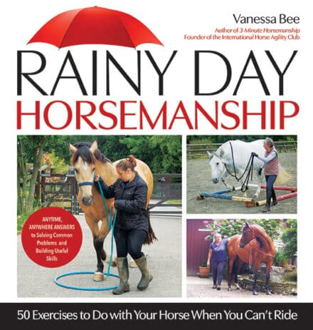 Bogen 'Horsemanship-øvelser til en regnvejrsdag' giver dig trin-for-trin instruktioner til 50 øvelser og aktiviteter på jorden