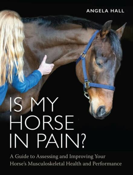Lær at se om din hest har smerter / bo