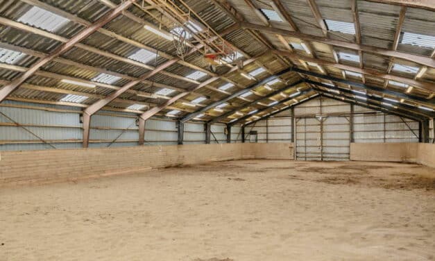Hesteejendom til salg: Ridehal, hestestald, folde, lade, maskinhus, 9,4 ha / 4400 Kalundborg
