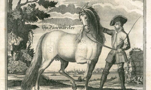Frederiksborgheste: Hesteavl fra Det Kongelige Stutteri fra 1562