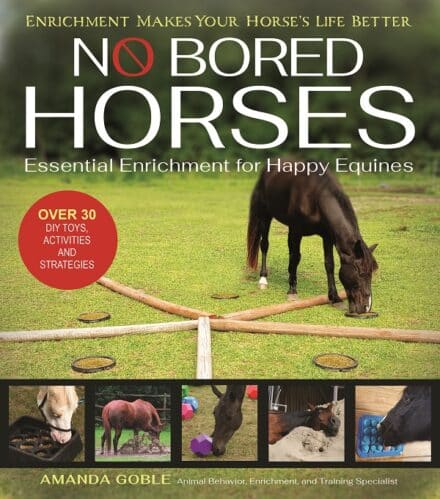 'No Bored Horses' er for enhver desperat rytter, hvis hest er ved at blive vanvittig, og for ejeren af ​​hesten med adfærdsproblemer, som hun bare ikke kan løse. Og det er for enhver af os, hvis mål er at give vores heste de oplevelser og muligheder, der skaber ægte velvære for hesten.