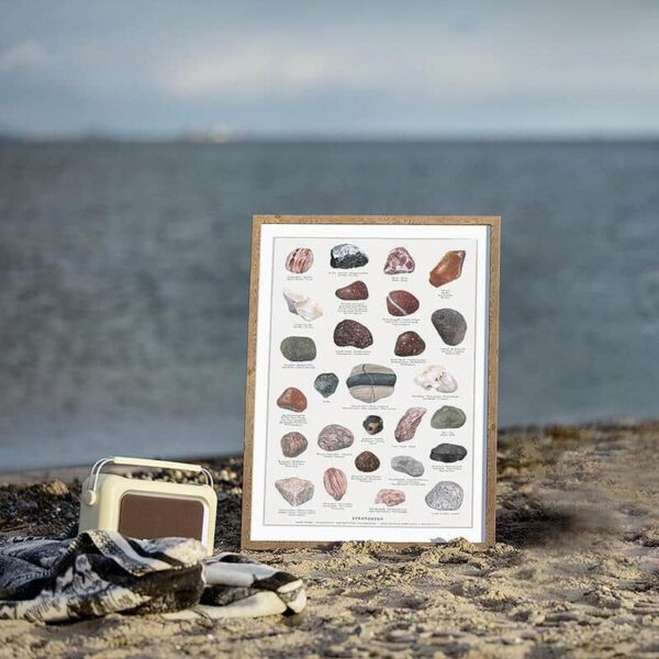 Det er fantastik at gå tur på stranden og finde smukke sten i mange forskellige former, farver og størrelser. Plakaten viser 27 af de mest almindelige stentyper på danske strande.